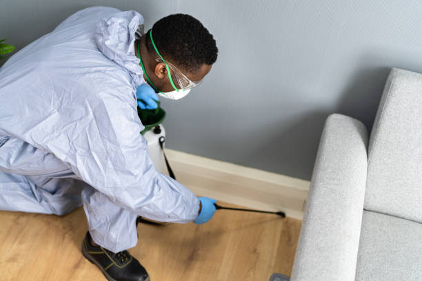 Best Fumigation Services  in Maple Glen, PA